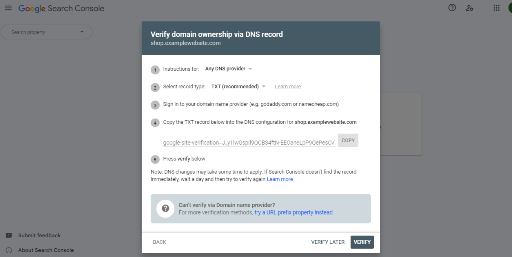 Verification via a Domain Property