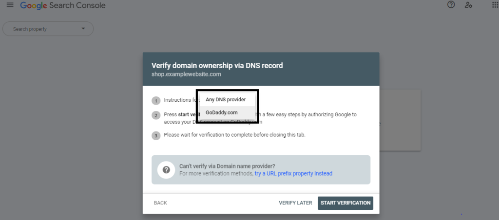 DNS provider selection 