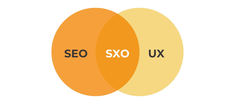 UX design is now playing an effective role in the ranking of a site