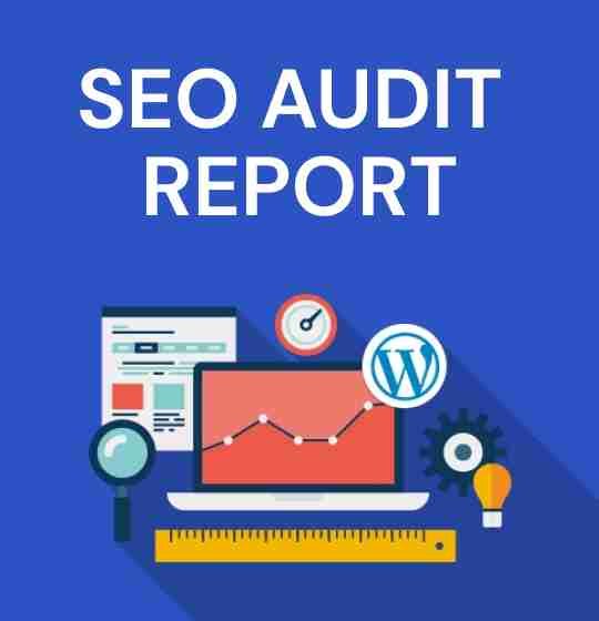 SEO Audit Report