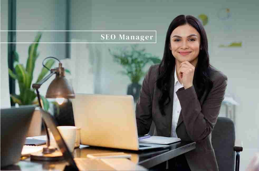 Expert SEO Services for Illinois Businesses